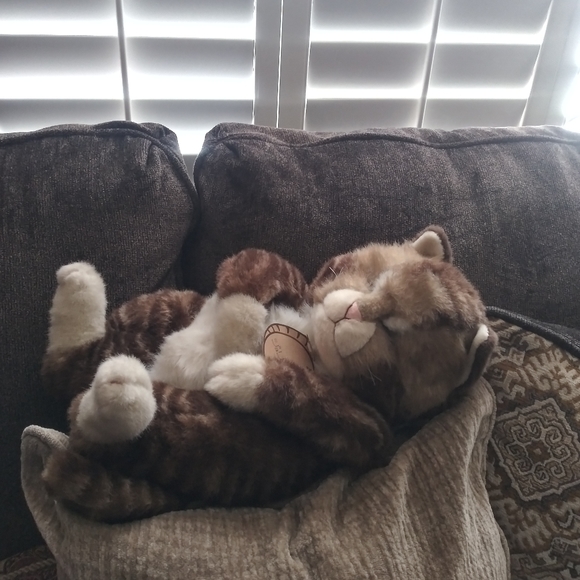 Collectible realistic Sleeping cat plush toy from Japan